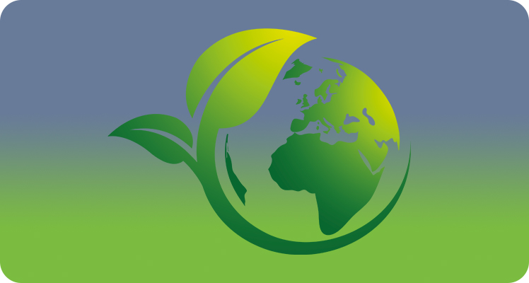 All questions about sustainability