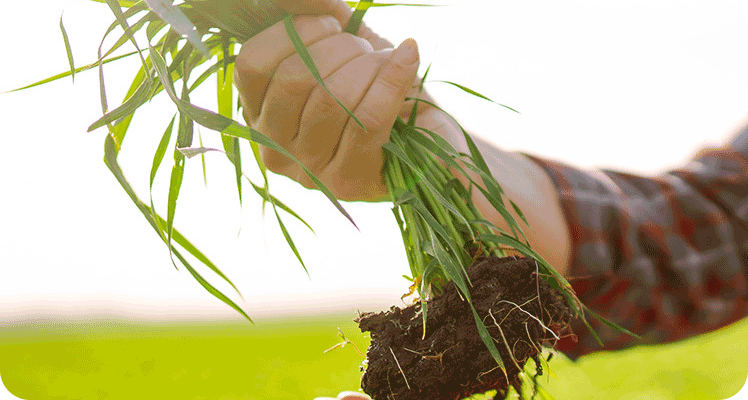 Land- und Forstwirtschaft