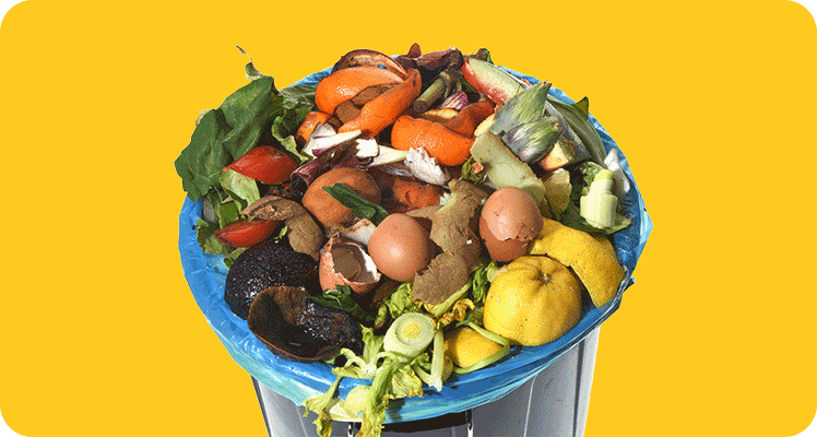 Are plastic packaging products sustainable?