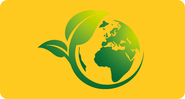 Is Bikapack a sustainable company?