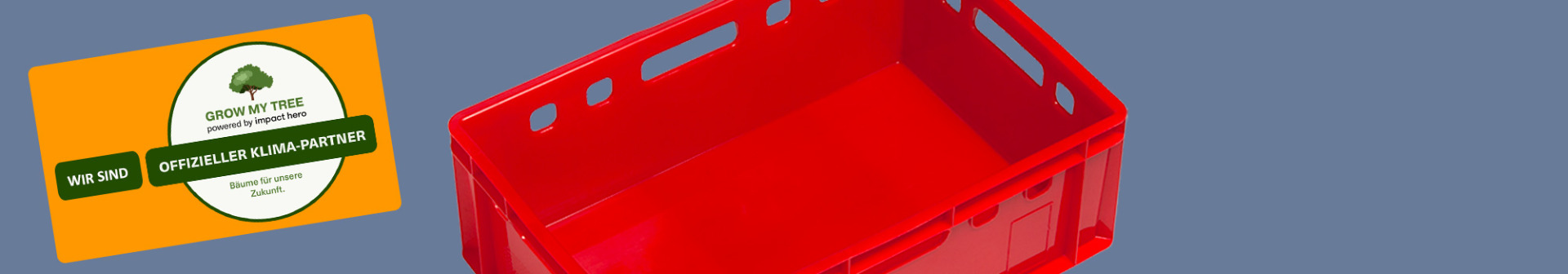 Image Main 1
