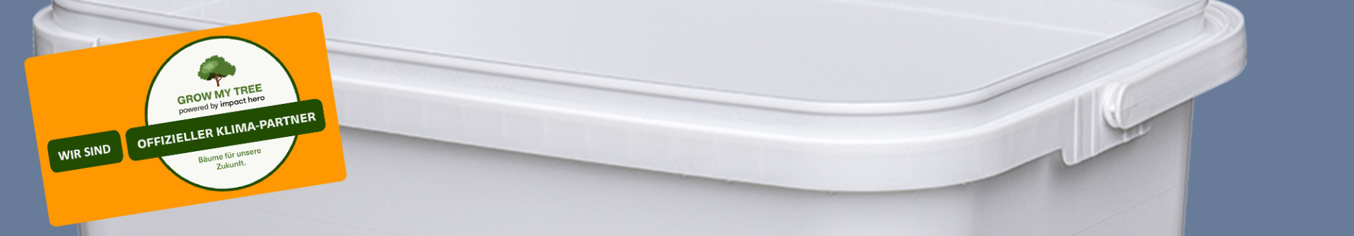 Image Main 1