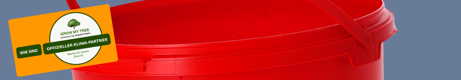 Image Main 1