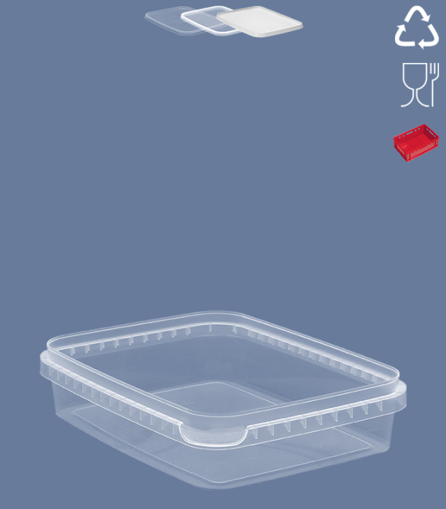 LOGIFLEX 660 ML / 178 X 139 MM / TRANSPARENT